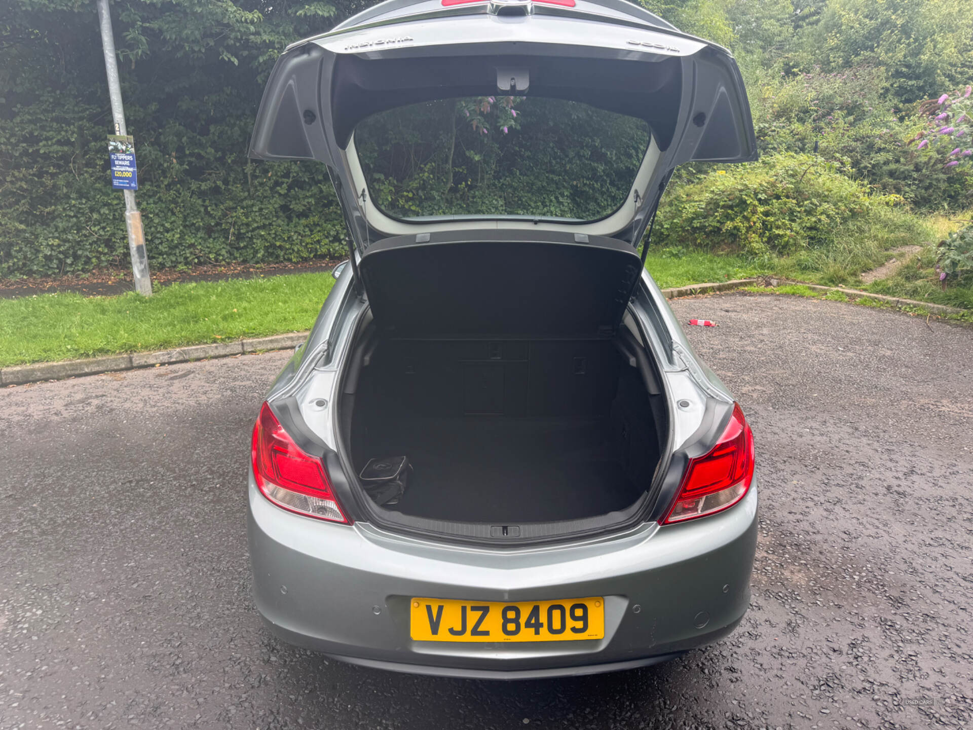 Vauxhall Insignia DIESEL HATCHBACK in Down