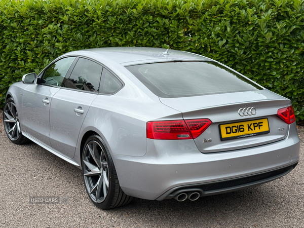 Audi A5 DIESEL SPORTBACK in Tyrone