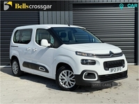 Citroen Berlingo 1.5 BlueHDi 100 Feel M 5dr in Down