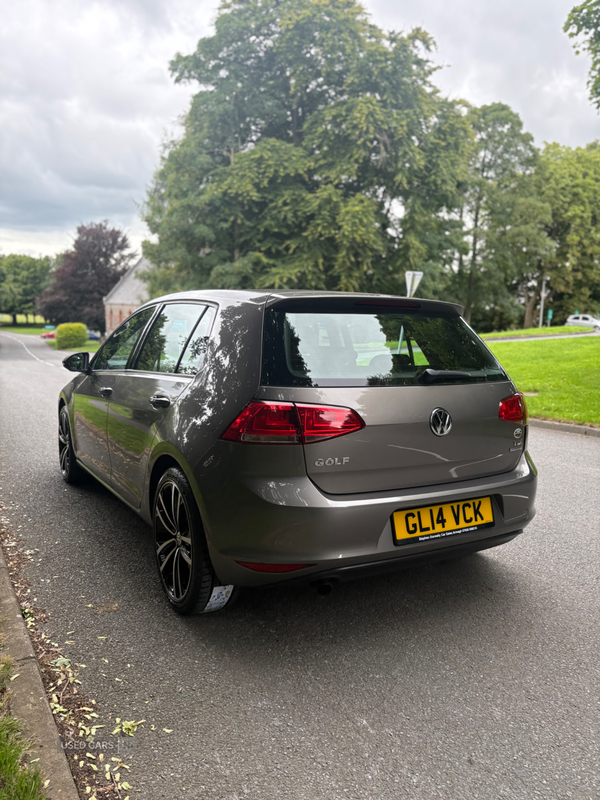 Volkswagen Golf DIESEL HATCHBACK in Armagh