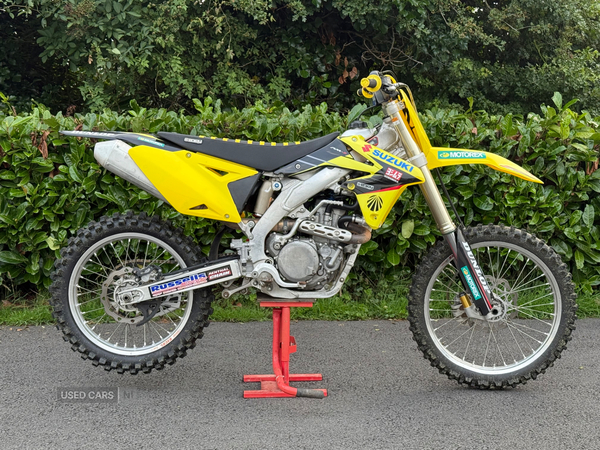 Suzuki RM-Z Series Rmz250 in Down
