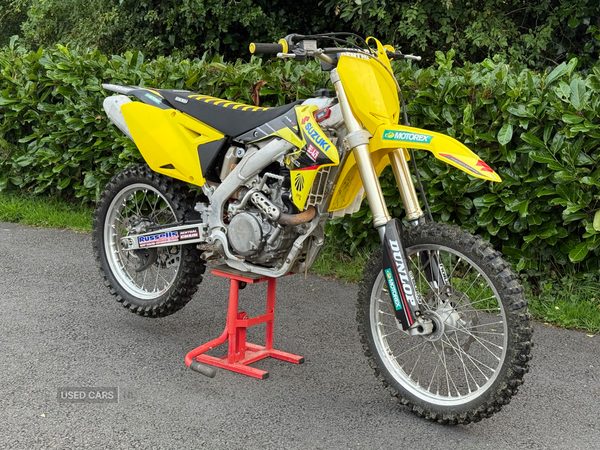 Suzuki RM-Z Series Rmz250 in Down