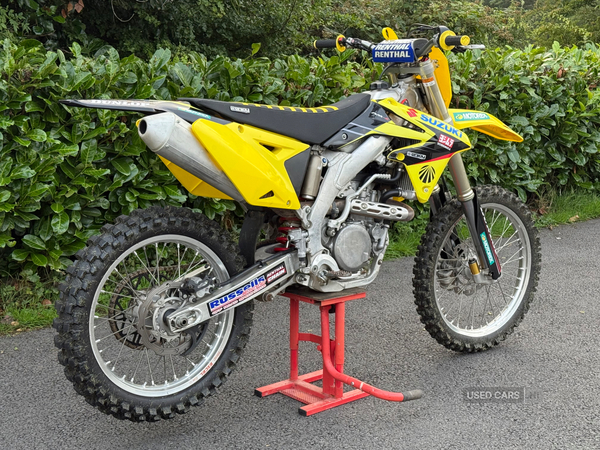 Suzuki RM-Z Series Rmz250 in Down