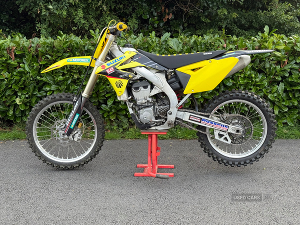 Suzuki RM-Z Series Rmz250 in Down