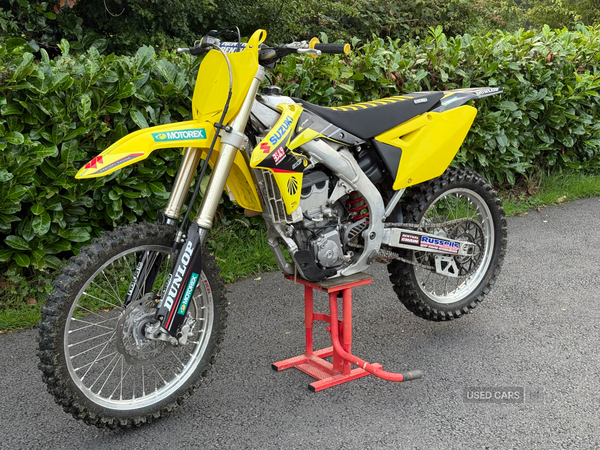 Suzuki RM-Z Series Rmz250 in Down