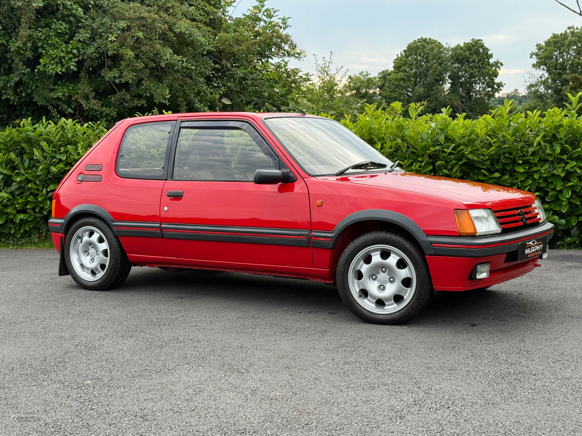 Peugeot 205 1.9 gti southern registration in Down