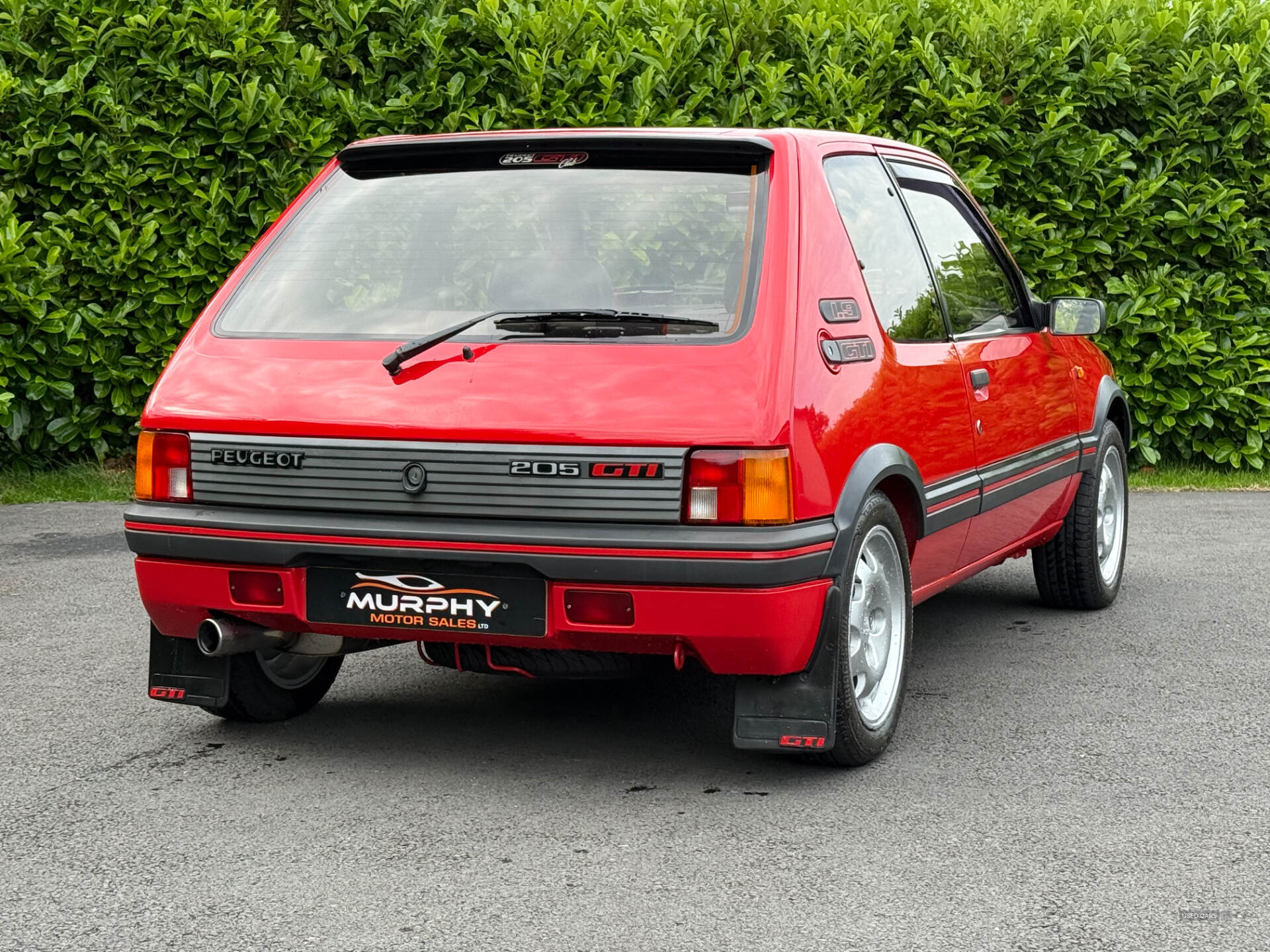 Peugeot 205 1.9 gti southern registration in Down