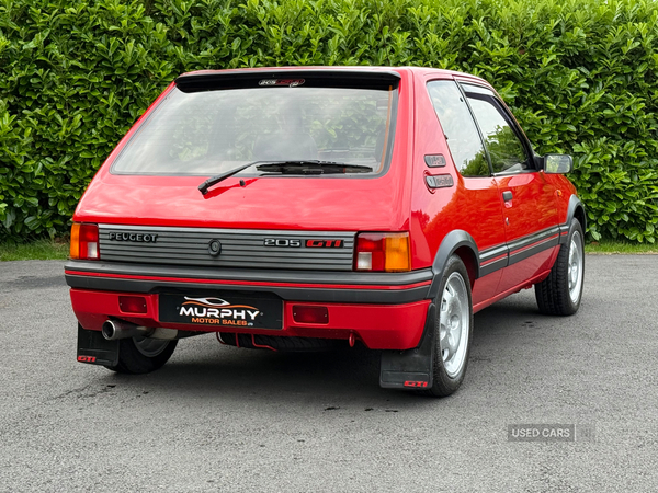 Peugeot 205 1.9 gti southern registration in Down