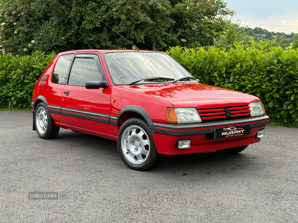Peugeot 205 1.9 gti southern registration in Down