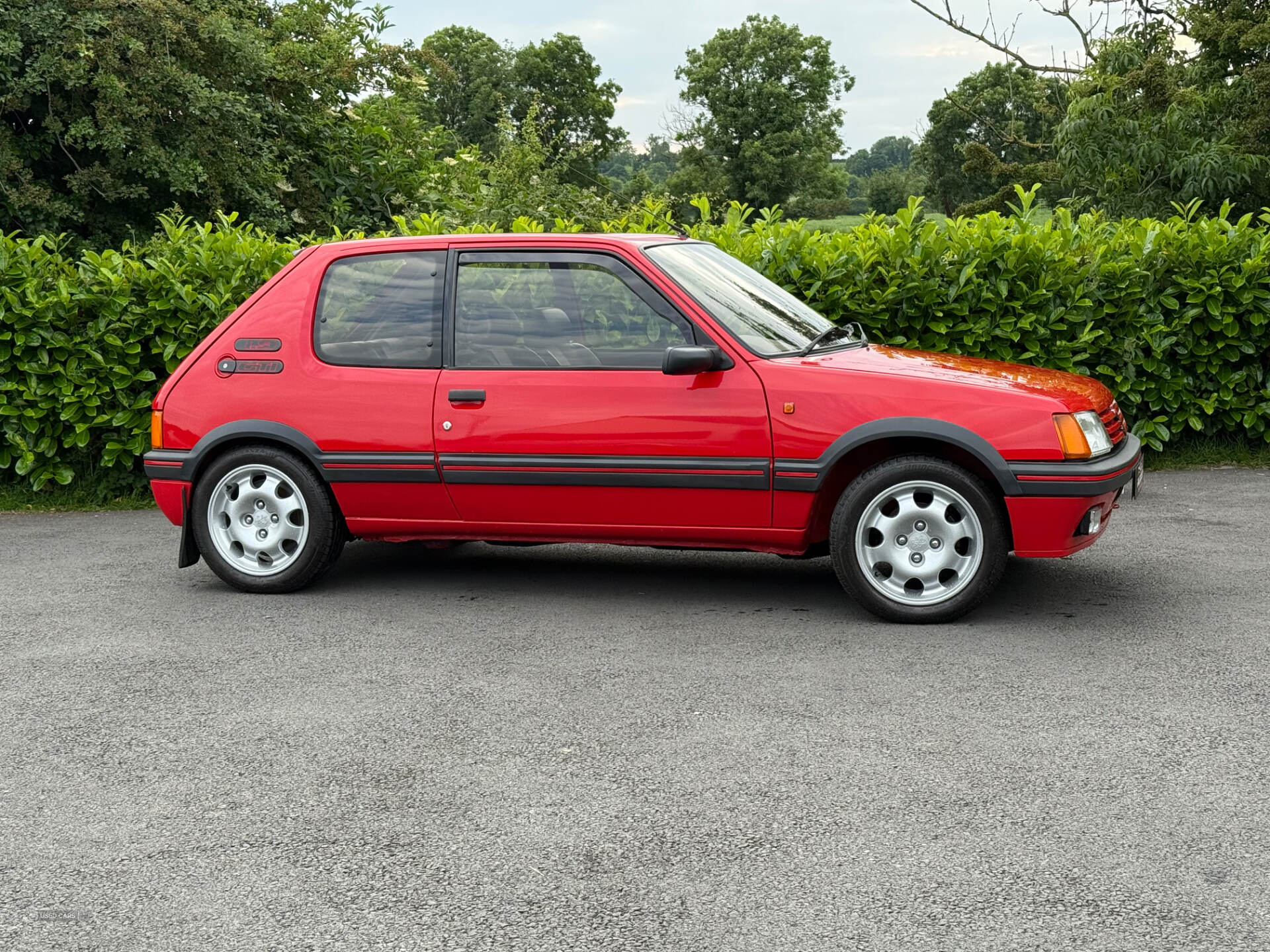 Peugeot 205 1.9 gti southern registration in Down