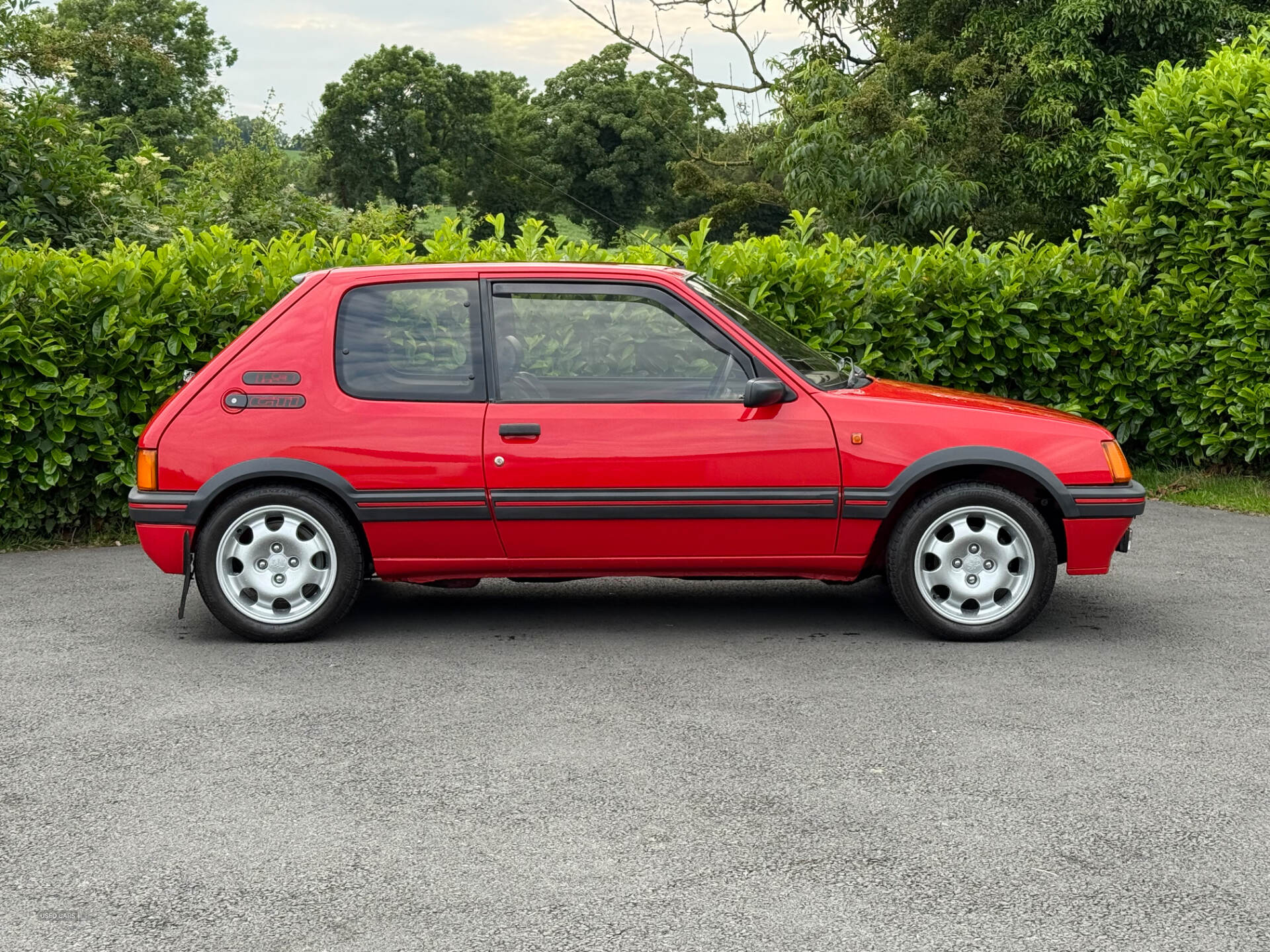 Peugeot 205 1.9 gti southern registration in Down