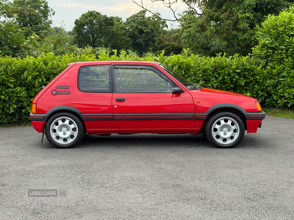 Peugeot 205 1.9 gti southern registration in Down