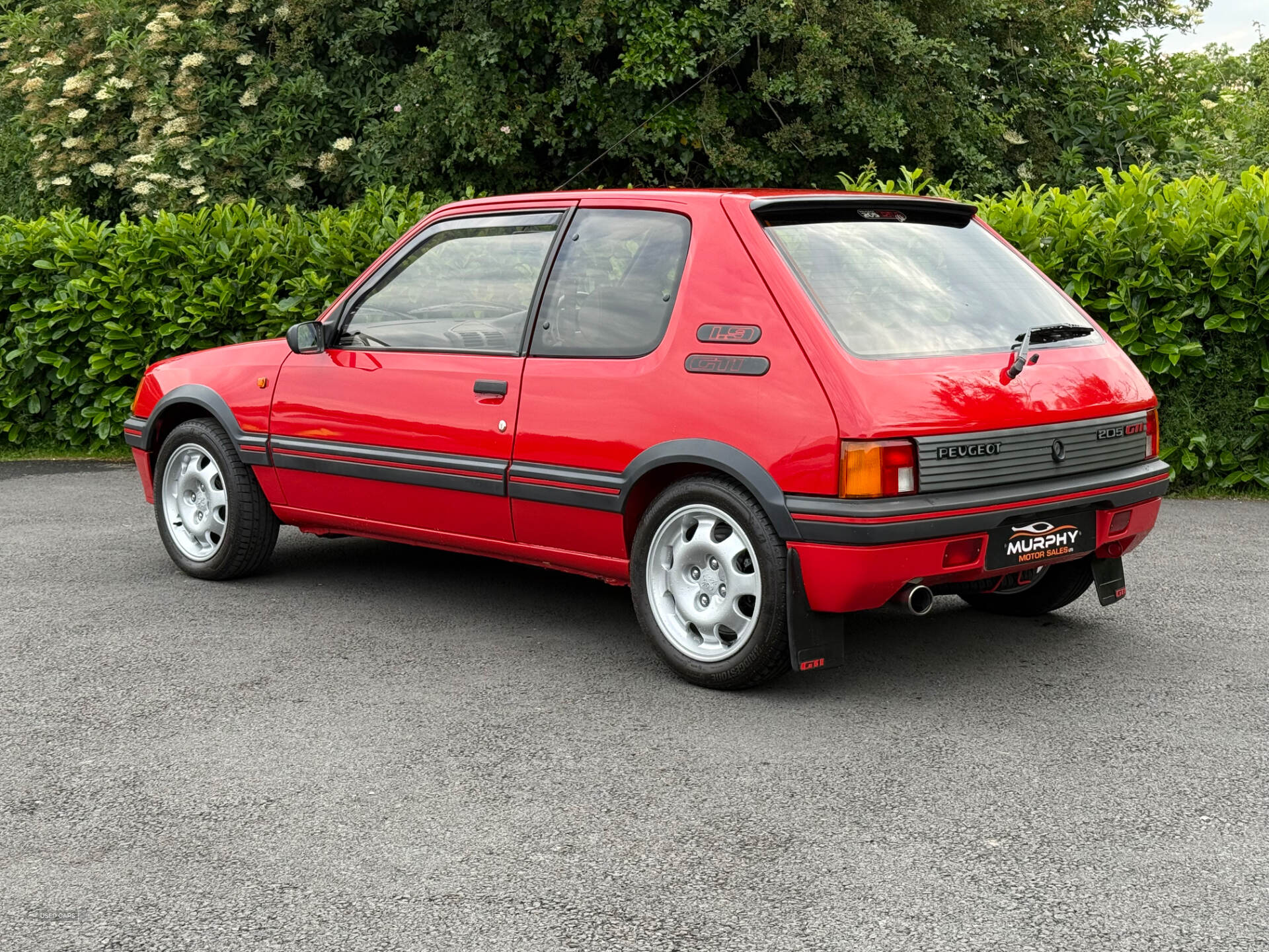 Peugeot 205 1.9 gti southern registration in Down