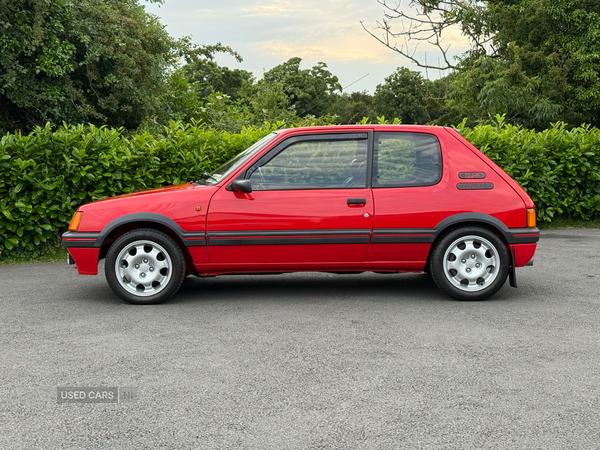 Peugeot 205 1.9 gti southern registration in Down