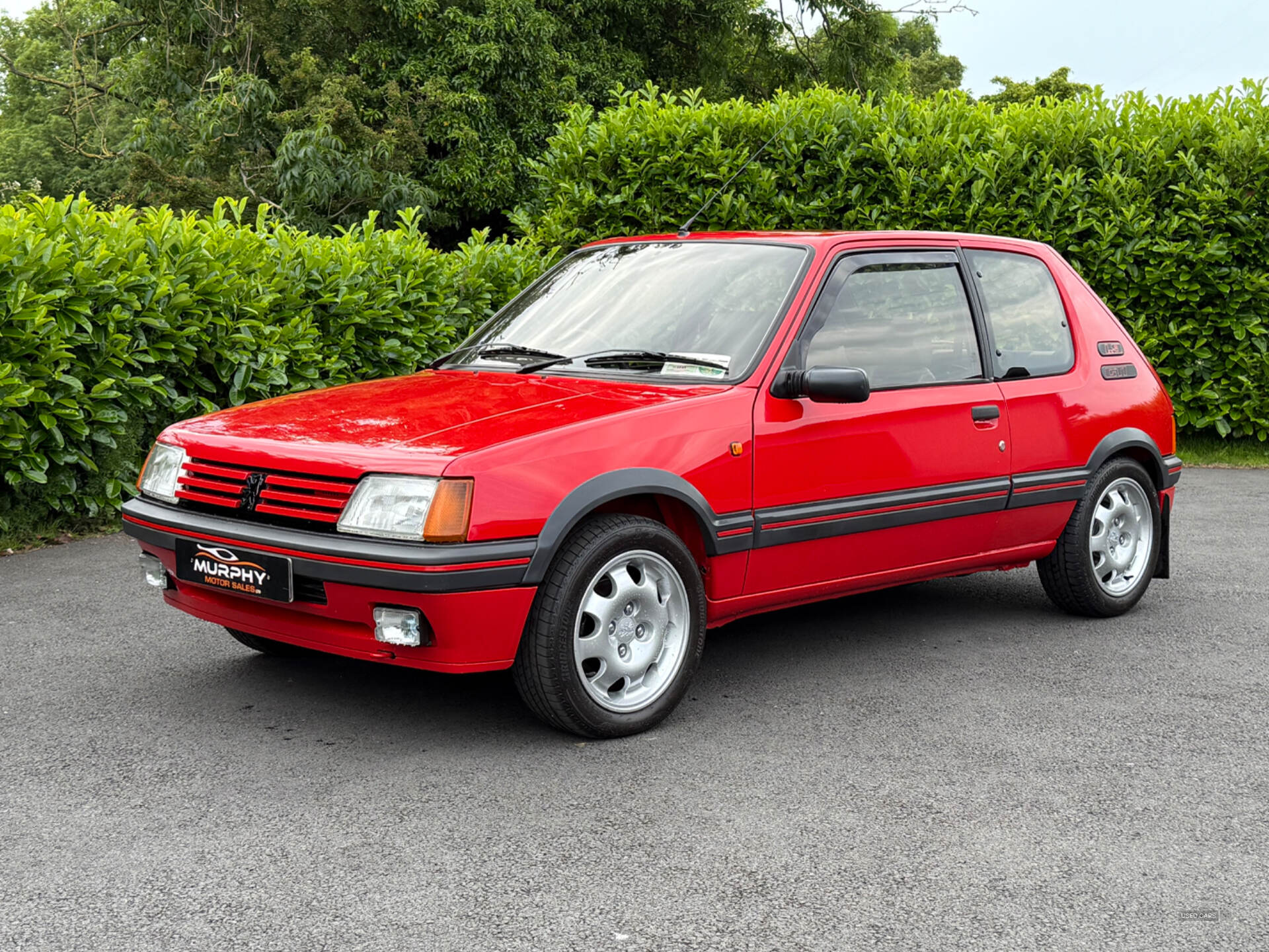 Peugeot 205 1.9 gti southern registration in Down