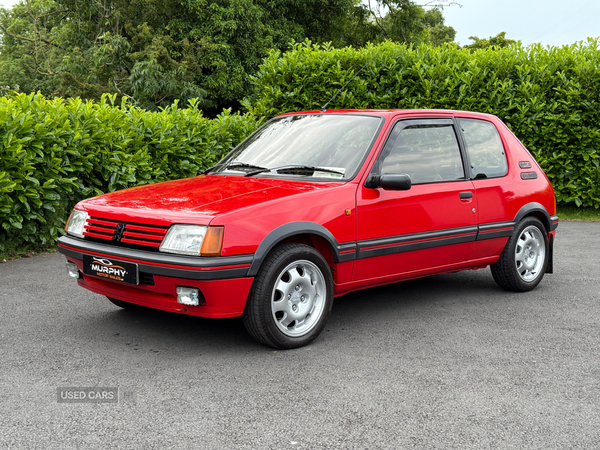 Peugeot 205 1.9 gti southern registration in Down