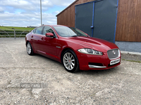 Jaguar XF DIESEL SALOON in Tyrone