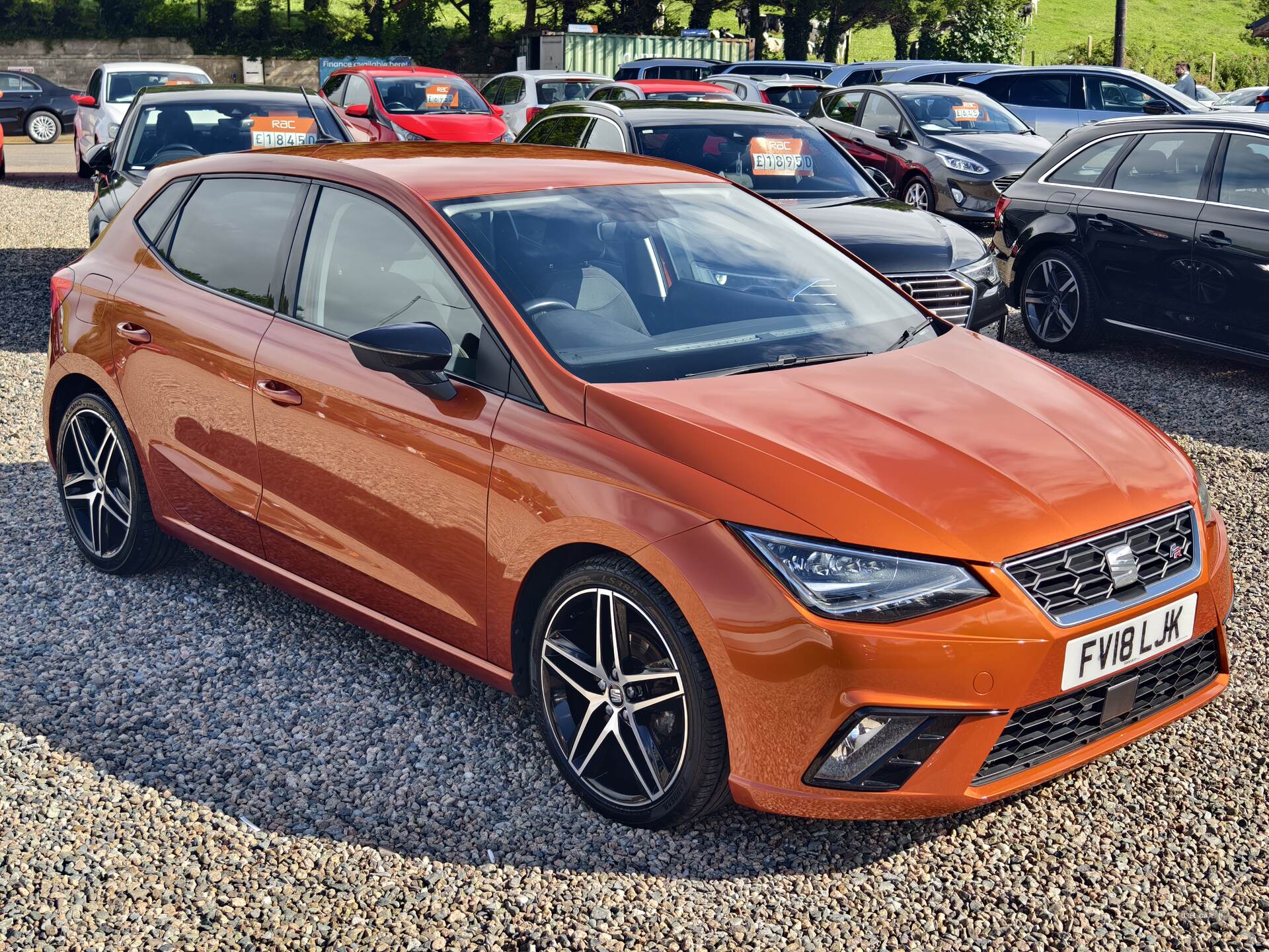 Seat Ibiza HATCHBACK in Fermanagh
