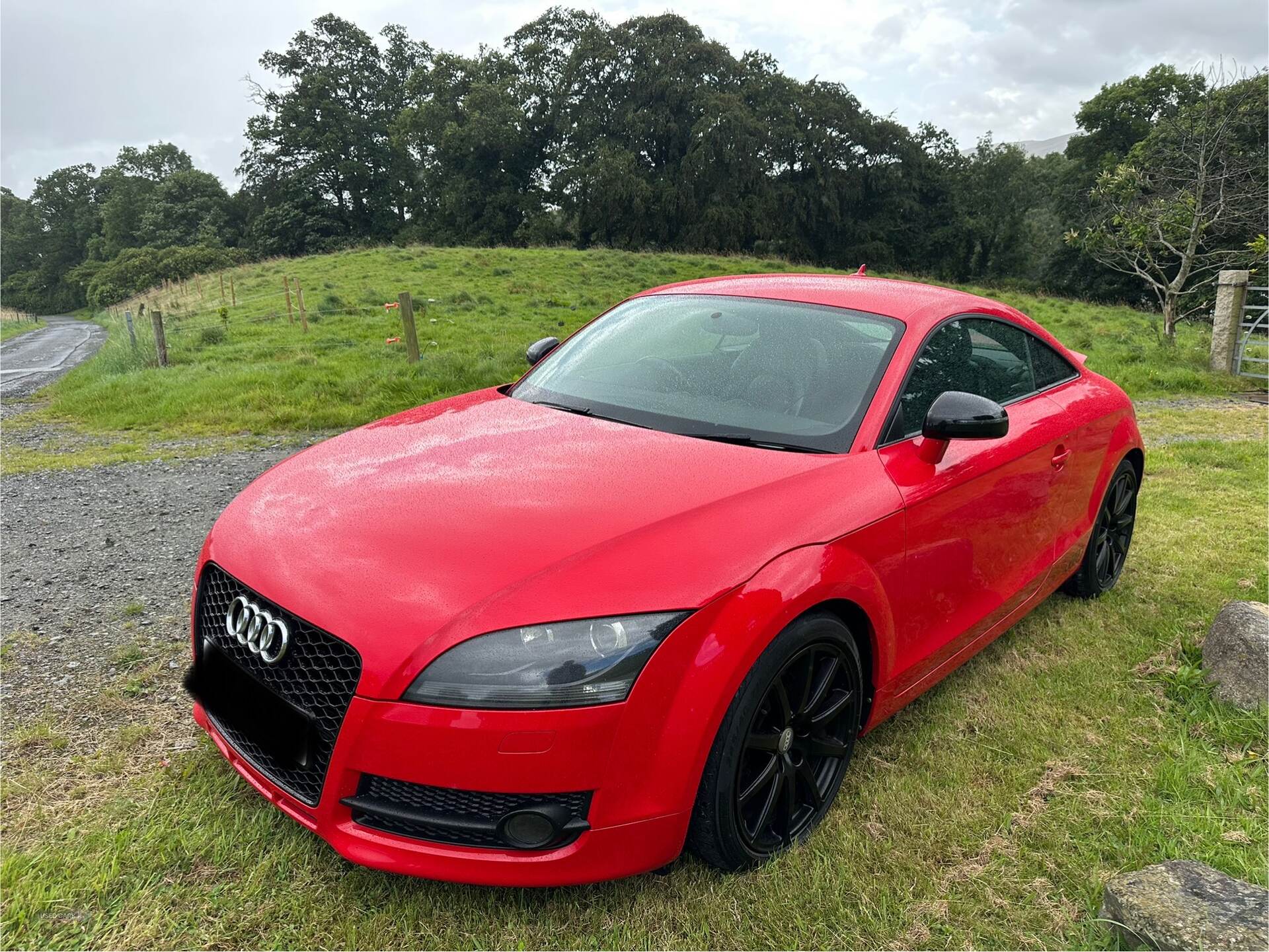 Audi TT COUPE in Down