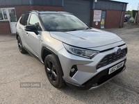 Toyota RAV4 ESTATE in Down