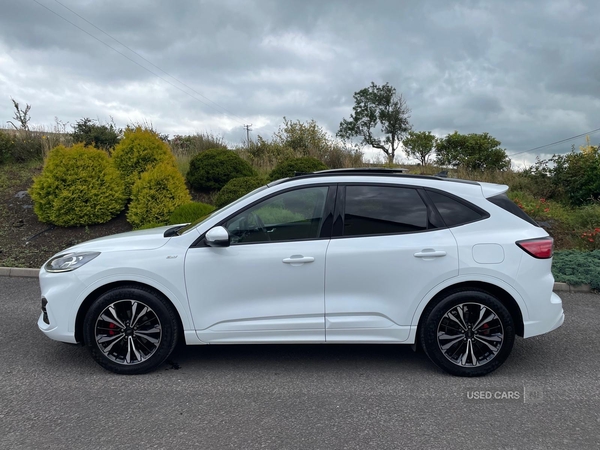 Ford Kuga DIESEL ESTATE in Tyrone