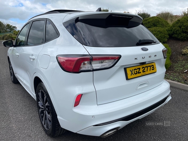 Ford Kuga DIESEL ESTATE in Tyrone