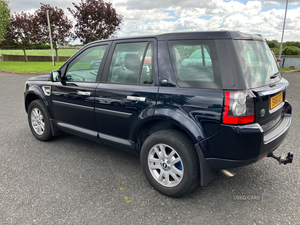 Land Rover Freelander in Armagh