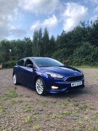 Ford Focus 1.0 EcoBoost 125 Zetec S 5dr in Tyrone