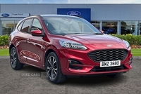 Ford Kuga 1.5 EcoBoost 150 ST-Line X Edition 5dr**REAR CAMERA - HEATED SEATS FRONT & REAR - HEATED STEERING WHEEL - OPENING PAN ROOF - POWER TAILGATE - B&O** in Antrim