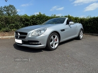 Mercedes SLK-Class SLK 250 CDI BlueEFFICIENCY 2dr Tip Auto in Antrim