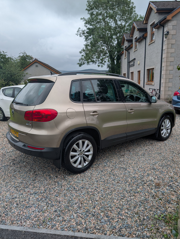 Volkswagen Tiguan 20 diesel blue motion in Tyrone