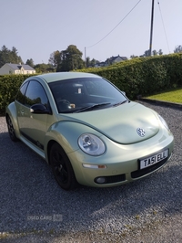 Volkswagen Beetle 1.6 Luna 3dr in Fermanagh