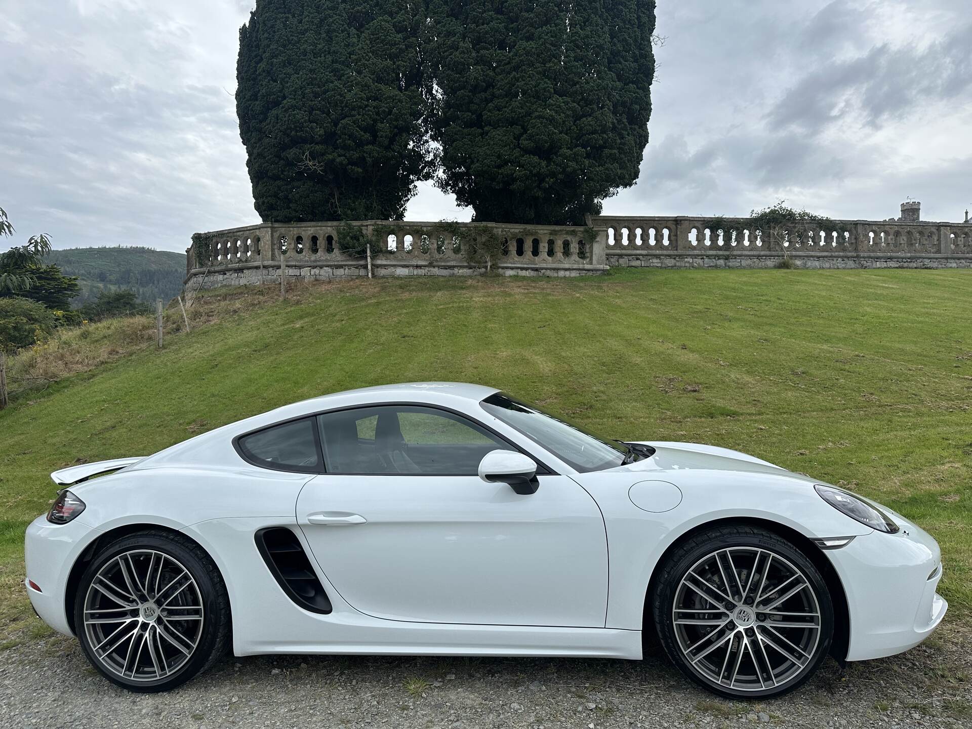 Porsche 718 Cayman COUPE in Down