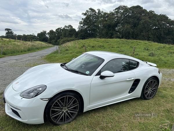 Porsche 718 Cayman COUPE in Down