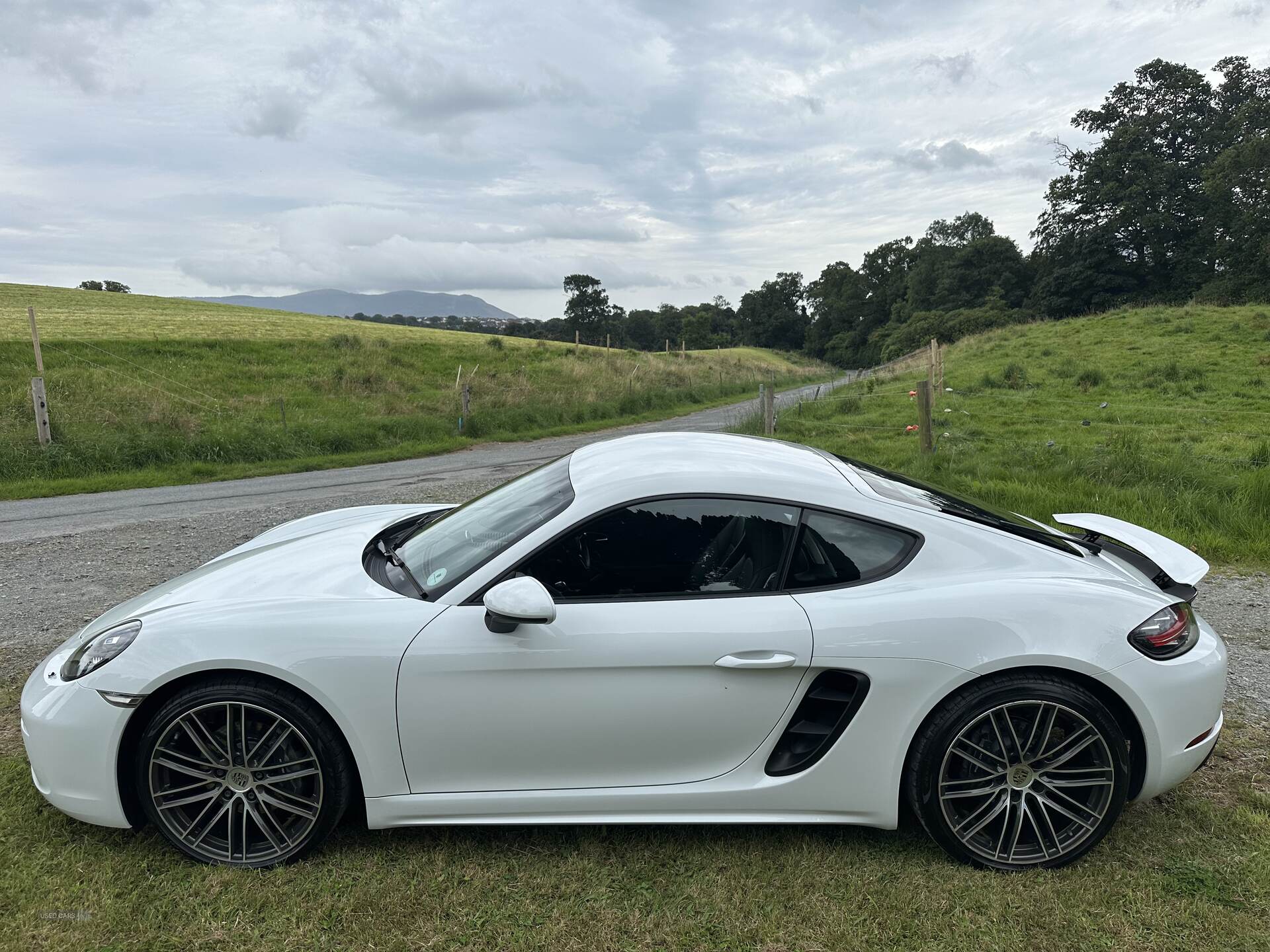 Porsche 718 Cayman COUPE in Down