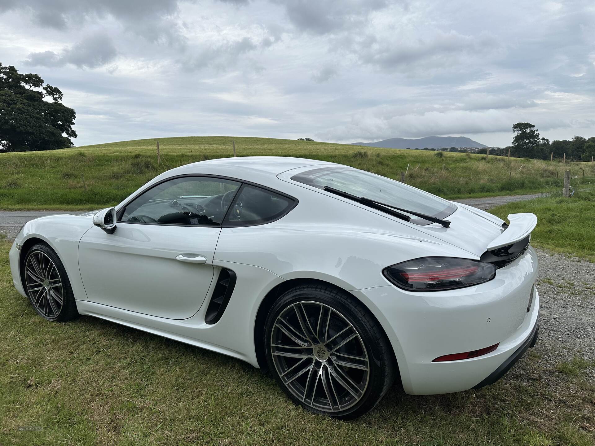 Porsche 718 Cayman COUPE in Down