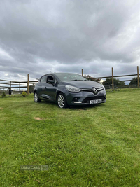 Renault Clio 1.2 16V Dynamique Nav 5dr in Down