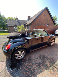 Volkswagen Beetle 1.4 Luna 2dr in Antrim