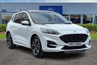 Ford Kuga 1.5 EcoBoost 150 ST-Line X Edition 5dr**REAR CAMERA - POWER TAILGATE - OPENING PAN ROOF - HEATED SEATS FRONT & REAR & STEERING WHEEL - B&O AUDIO** in Antrim