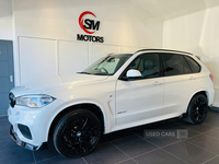 BMW X5 DIESEL ESTATE in Antrim