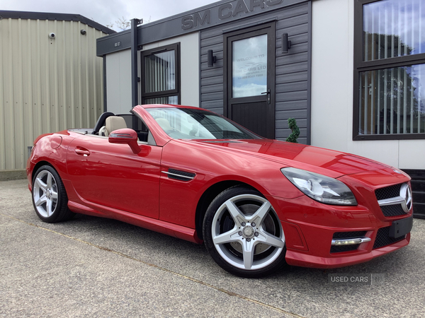 Mercedes SLK-Class DIESEL ROADSTER in Down