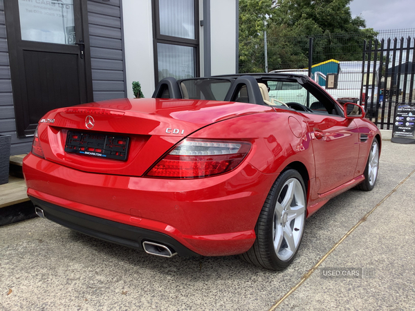 Mercedes SLK-Class DIESEL ROADSTER in Down