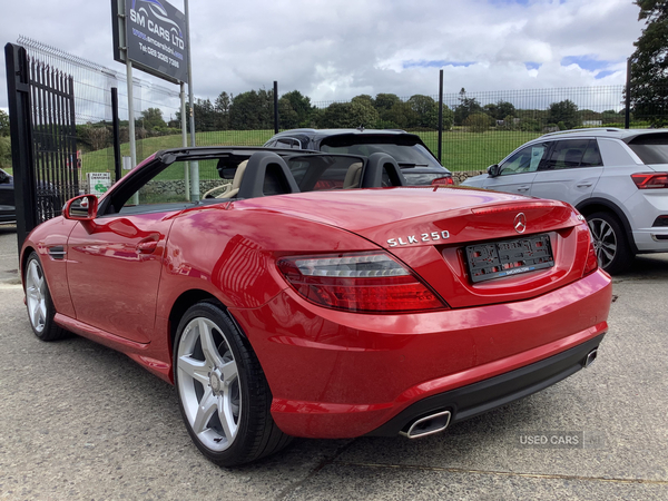 Mercedes SLK-Class DIESEL ROADSTER in Down