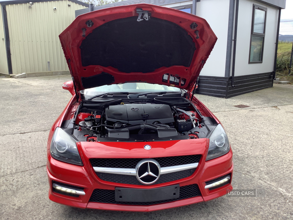 Mercedes SLK-Class DIESEL ROADSTER in Down