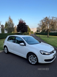 Volkswagen Golf 1.6 TDi 105 BlueMotion Tech Match 5dr in Tyrone