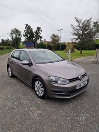 Volkswagen Golf 1.6 TDI 105 SE 5dr in Armagh