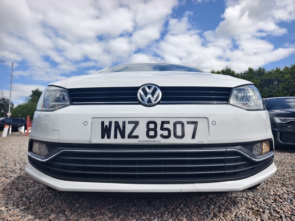 Volkswagen Polo HATCHBACK in Fermanagh