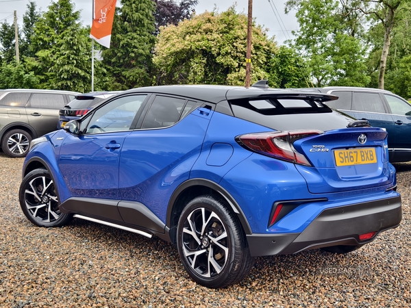 Toyota C-HR HATCHBACK in Fermanagh