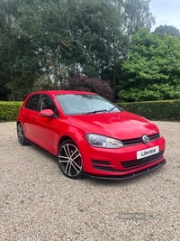 Volkswagen Golf 1.6 TDI 105 SE 5dr in Tyrone