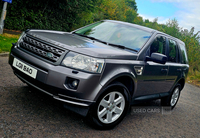 Land Rover Freelander 2.2 TD4 GS 5dr in Down